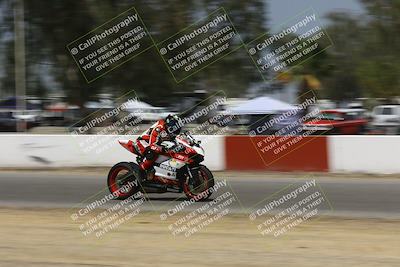 media/Sep-07-2024-Pacific Track Time (Sat) [[9bb89f5e83]]/B group/Front Straight 1220pm/